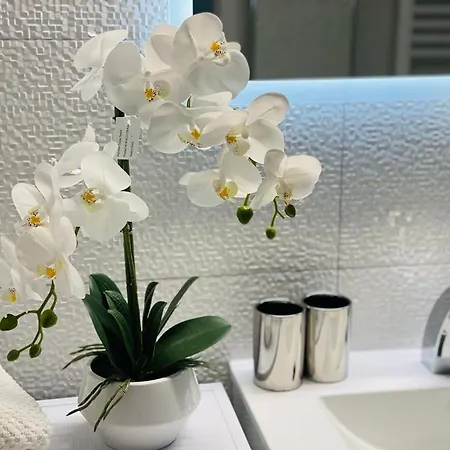 Traumperle Appartement